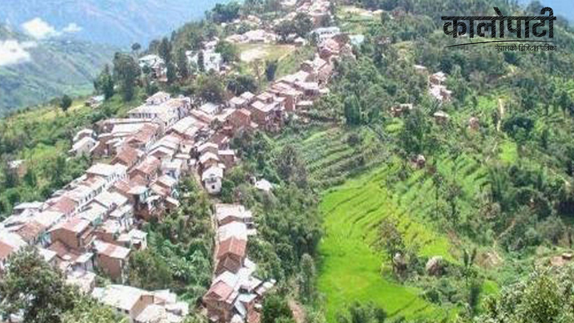 भोजपुरका कृषकहरुमा लाहा खेतीको आकर्षण