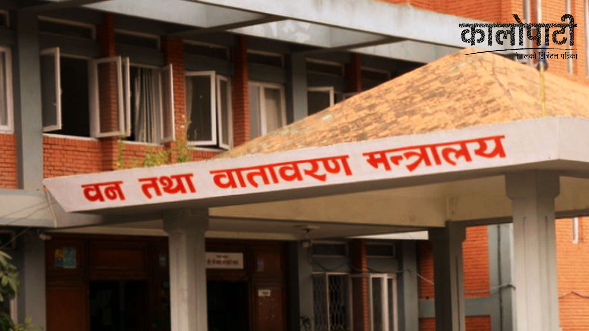 सरकारले गर्यो पातलो प्लास्टिक झोलाको प्रतिबन्ध, प्रयोग गरे तत्काल कारबाही गरिने