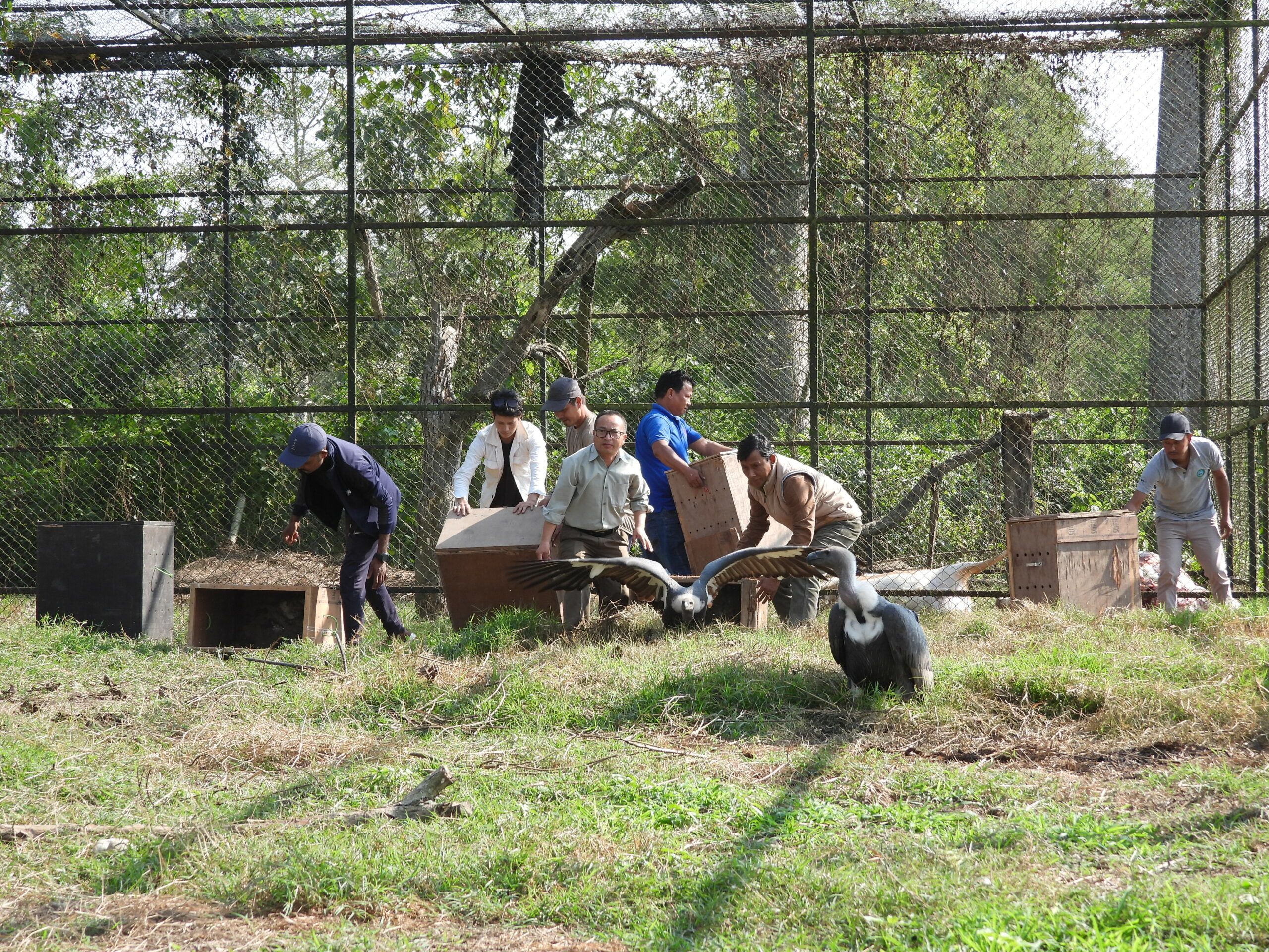 १० गिद्ध जटायु रेष्टुरेन्ट पिठौलीमा स्थानान्तरण