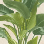Metropolitan1 Wallpaper - Image 3