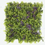 Wall Grass