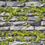 Brick 3D Wallpaper