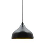 Vintage Black And Gold Industrial Pendant Light