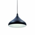 Black Pendant Light With White Inner