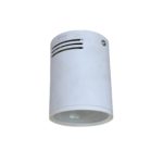 Cylindrical Downlight White Body Warm Light