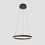 Single Ring Modern Chandelier