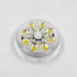 LED Ceiling Perish Light
