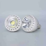 Par 30 LED Red Bulb White Body