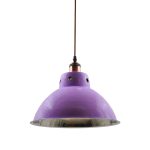 Classic Purple Pendant Light wih Antique Holder