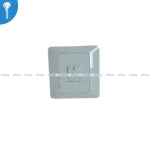 1 Gang Switch Electra