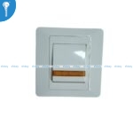 32A DP Switch Electra
